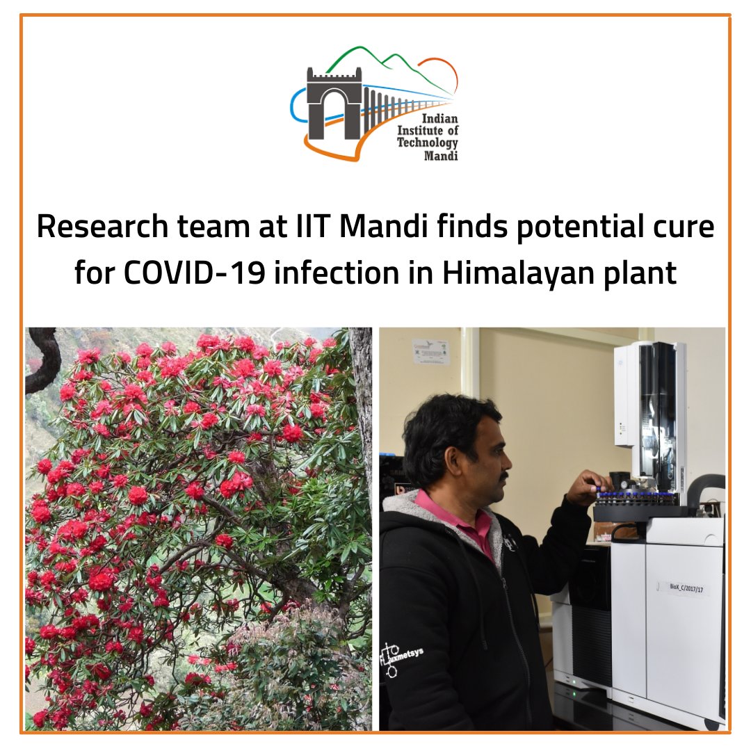 FGCTweets's tweet photo. Researchers from @iit__mandi &amp; @ICGEBNewDelhi have identified Phytochemicals in the petals of a Himalayan plant that could be used to treat #COVID_19 infections.
#IITMandi #Research #covidtreatment @SKMasakapalli https://t.co/APtOFDaVHj