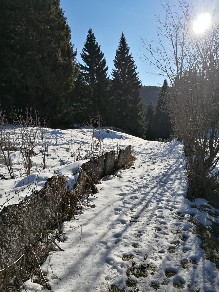 SoftairVolta's tweet photo. Amichevole sull'altopiano di @Asiago con @omegateamvicenza e @teschivicenza! 😎☀️
#sun #sunday #softair #airsoft #outdoor https://t.co/uChzVN19aV