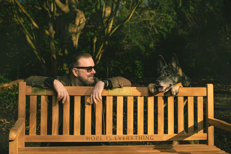 WalesOnline's tweet photo. After Life's Ricky Gervais donates benches to Welsh parks as season 3 airs
https://t.co/TVjWDmy0ue https://t.co/0yyfQc38Ob