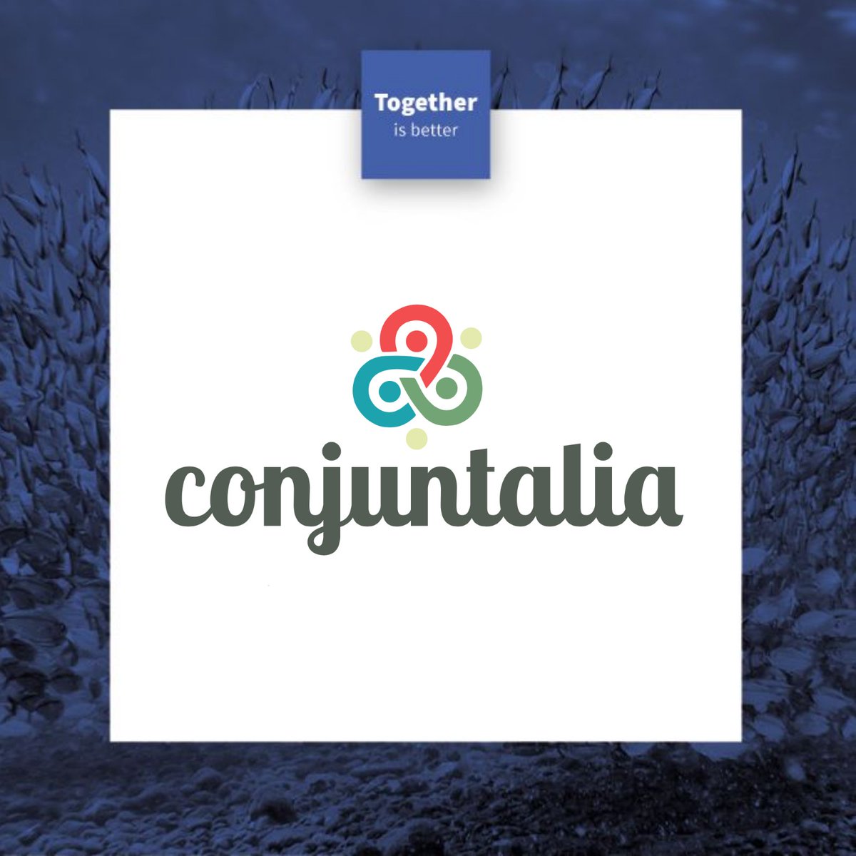 HubTogether's tweet photo. Queremos agradecer a Conjuntalia por apoyarnos en nuestro aniversario.

Conjuntalia es la plataforma líder en compras conjuntas de España pensada para centralizar toda clase de compras.

Inscríbete y disfruta el 27 de enero. https://t.co/yRdJ9X8Yeu

¡Nos vemos en unos días! 😀 https://t.co/yXfJsJhmBp