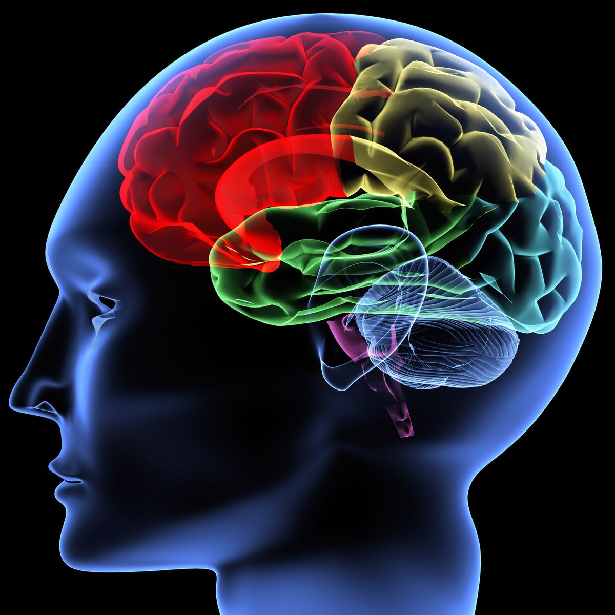 benmortoncoach's tweet photo. 🟣 Discussions are underway on the research and impact of Behavioural Activation Therapy.

#freedomtothinkclub #benjaminmortonlive #mindset #freedomtothink #mentorshipmatters #behaviourchange #behaviourtherapy #neuroscience #neuroplasticity #neuropsychology #behaviouralscience https://t.co/NZJdyVZQkq