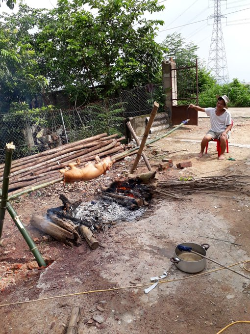 🐷🐷🐷🐷 quay