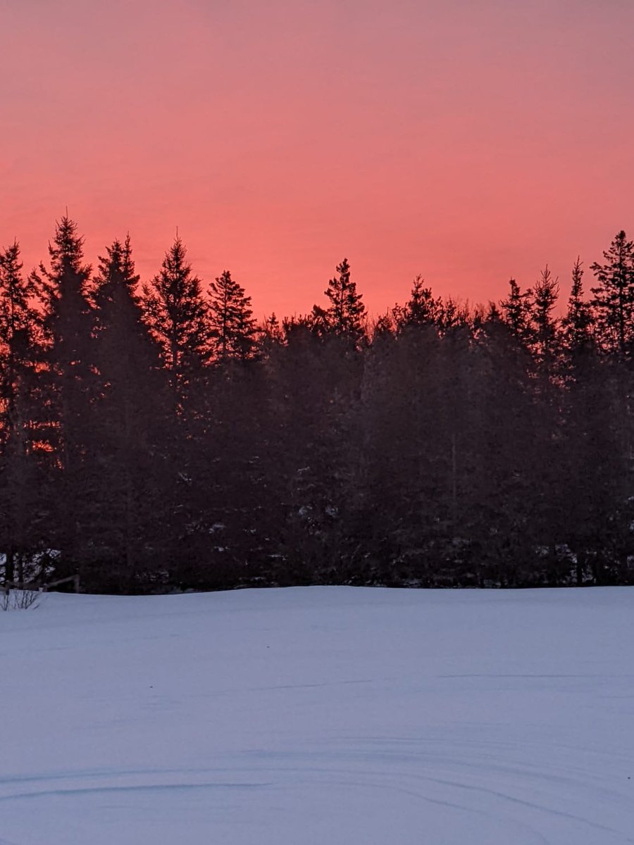 risky_pleasures's tweet photo. Good Monday morning one and all! No filters needed, beautiful sunrise here this morning. #blessed #pinkskys #sunrise https://t.co/cJ4sIHAbtn