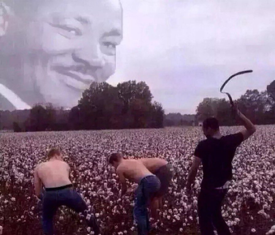 jessethechef's tweet photo. It’s MLK day give your black friend a free zip https://t.co/uf4UWn029n