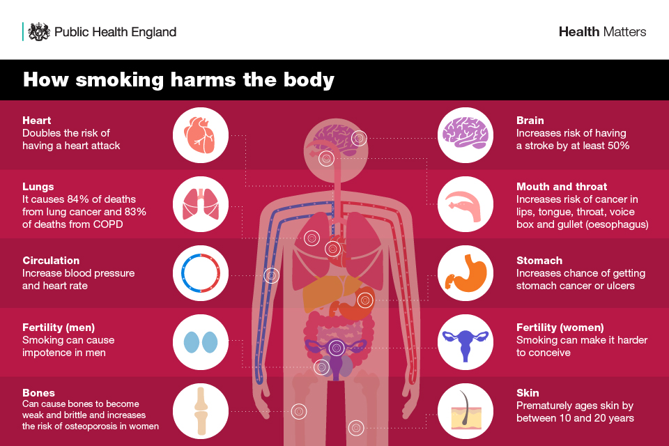WeNurses's tweet photo. If you want to learn more around smoking and tobacco following on from last weeks #WeNurses there are lots of fab learning &amp; resources around this &amp; other key public health priorities via #AllOurHealth 

Find out more here > https://t.co/0v5wSffMEo https://t.co/Pk7AiC1jbQ