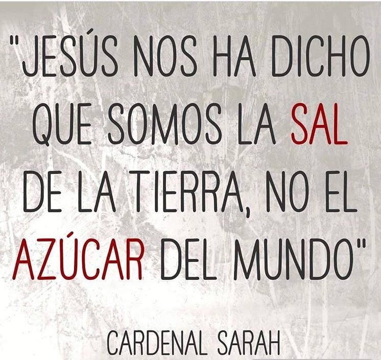 ObispoMunilla's tweet photo. «¡Ay si todo el mundo habla bien de vosotros!» (Lucas 6, 26) https://t.co/VwKvZCnv7V