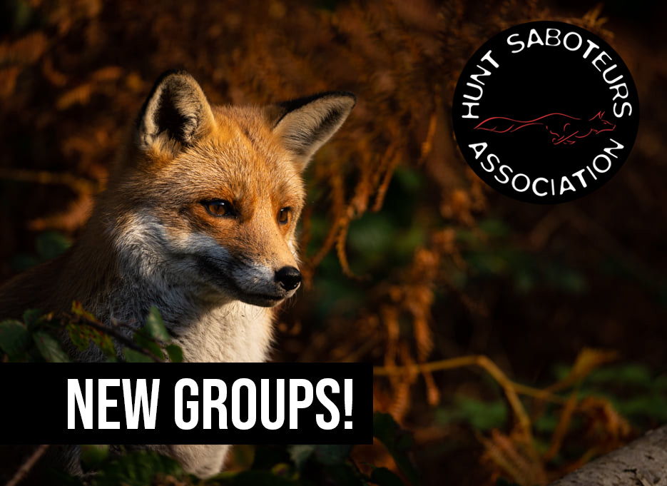 Hunt Saboteurs Association tweet media