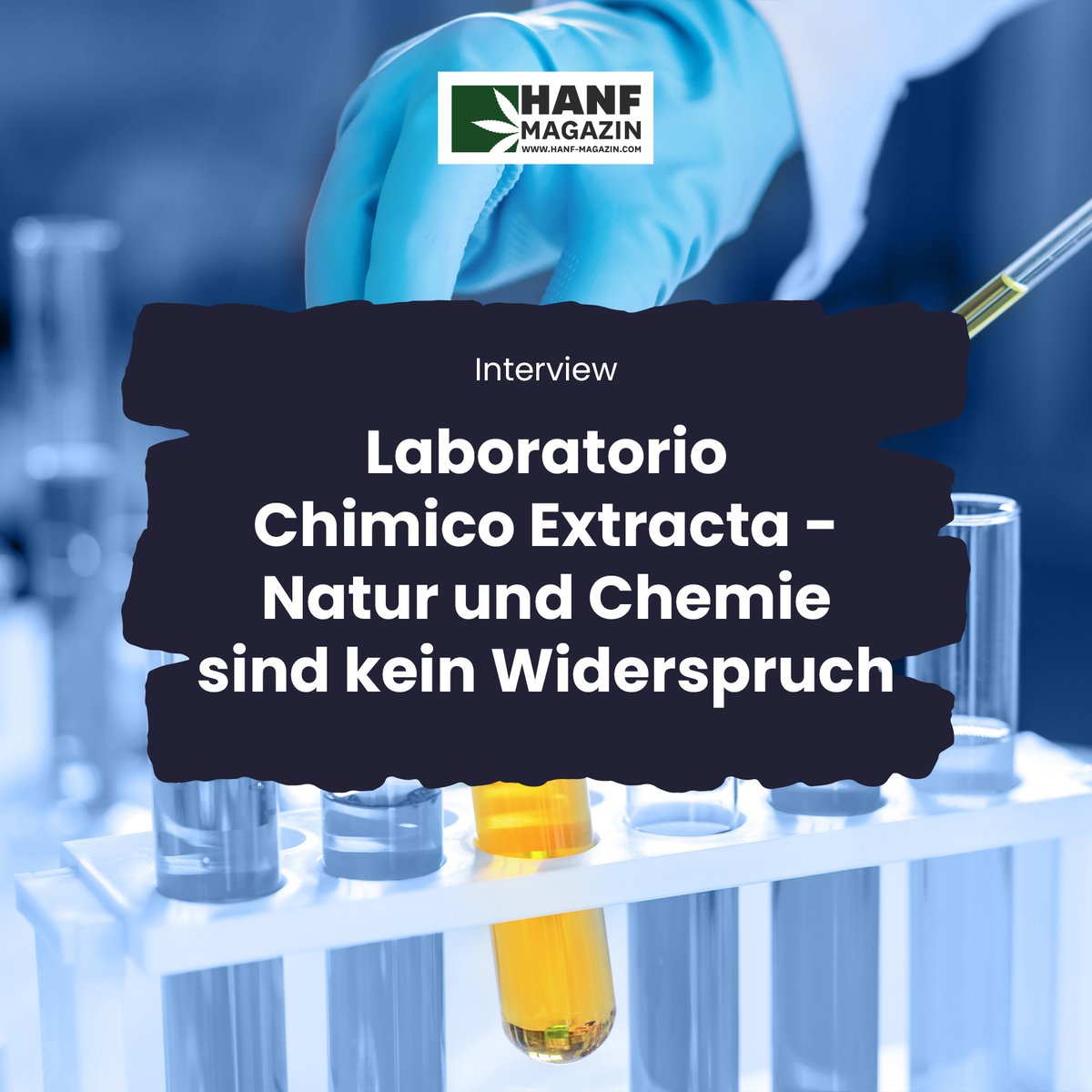 hanfmagazin's tweet photo. Zurück zur Natur ist ein Motto, mit dem sich eine seit Jahren wachsende Menge identifizieren kann. Heute will man weg von chemischen Produkten und von künstlichen Substanzen.
https://t.co/7HlHDJ1vdV
#hanfmagazin #cbdbranche #cbdunternehmen https://t.co/LfoNzZKbOt