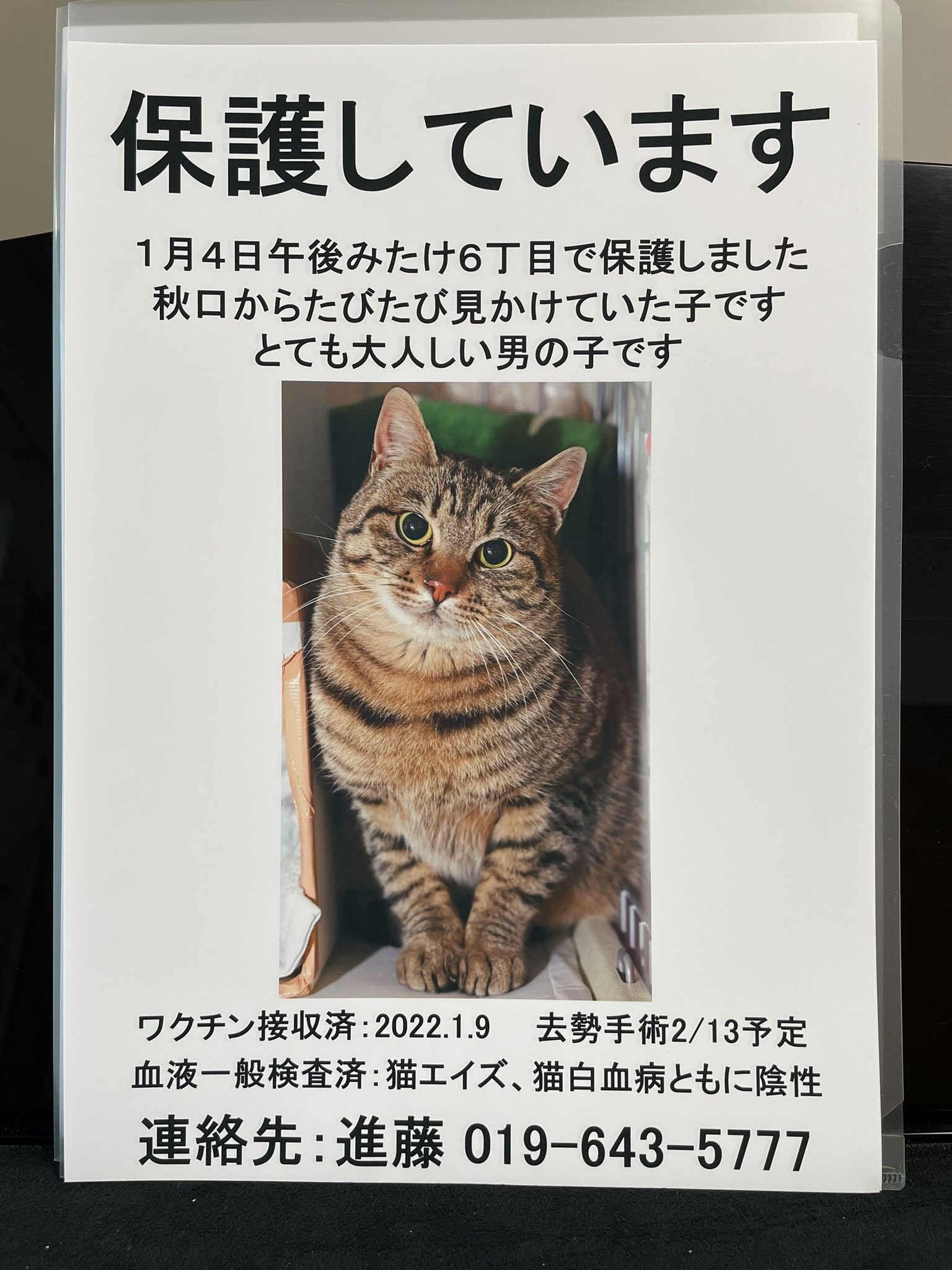 Follow りすこ S Ponnyaponnya Latest Tweets Twitter