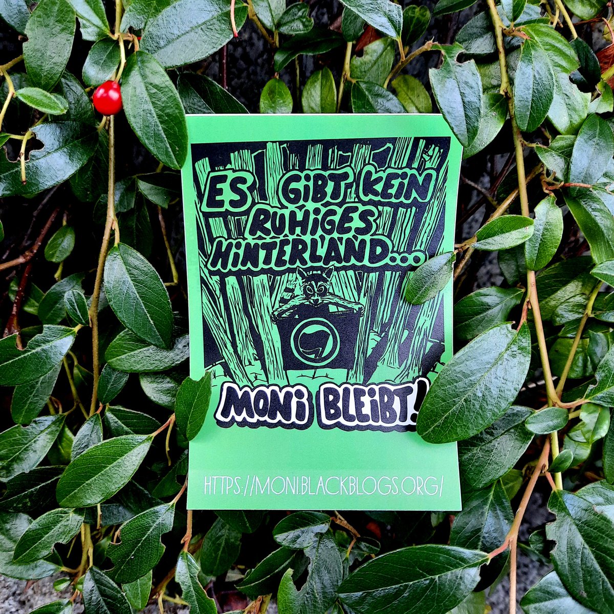 Monokultur ist trotz allem besser als Autokultur - Saving this monoculture might be part of a better future!🌲

Wir haben für <a href="/BleibtMoni/">Moni bleibt #FreeThemAll</a> Soli Stuff im Shop: 

Beutel:black-mosquito.org/de/moni-bleibt…

Aufkleber:black-mosquito.org/de/moni-bleibt…

 Spenden: moni.blackblogs.org

#keinbaumistegal