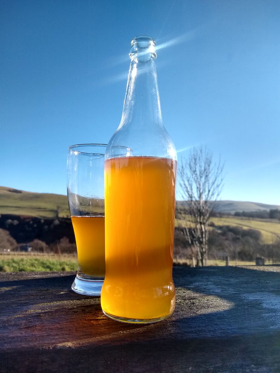 welsh_cider's tweet photo. #nowtasting Borders Bittersweet (Hereford Redstreak/Bloody Butcher) 2020. Already fat &amp; full of complex flavours straight from the vat, it's going to rock after a few weeks/years in the bottle. Bottling this week, early release to cider club members soon! Full tasting notes later https://t.co/mUXWHd8Swj