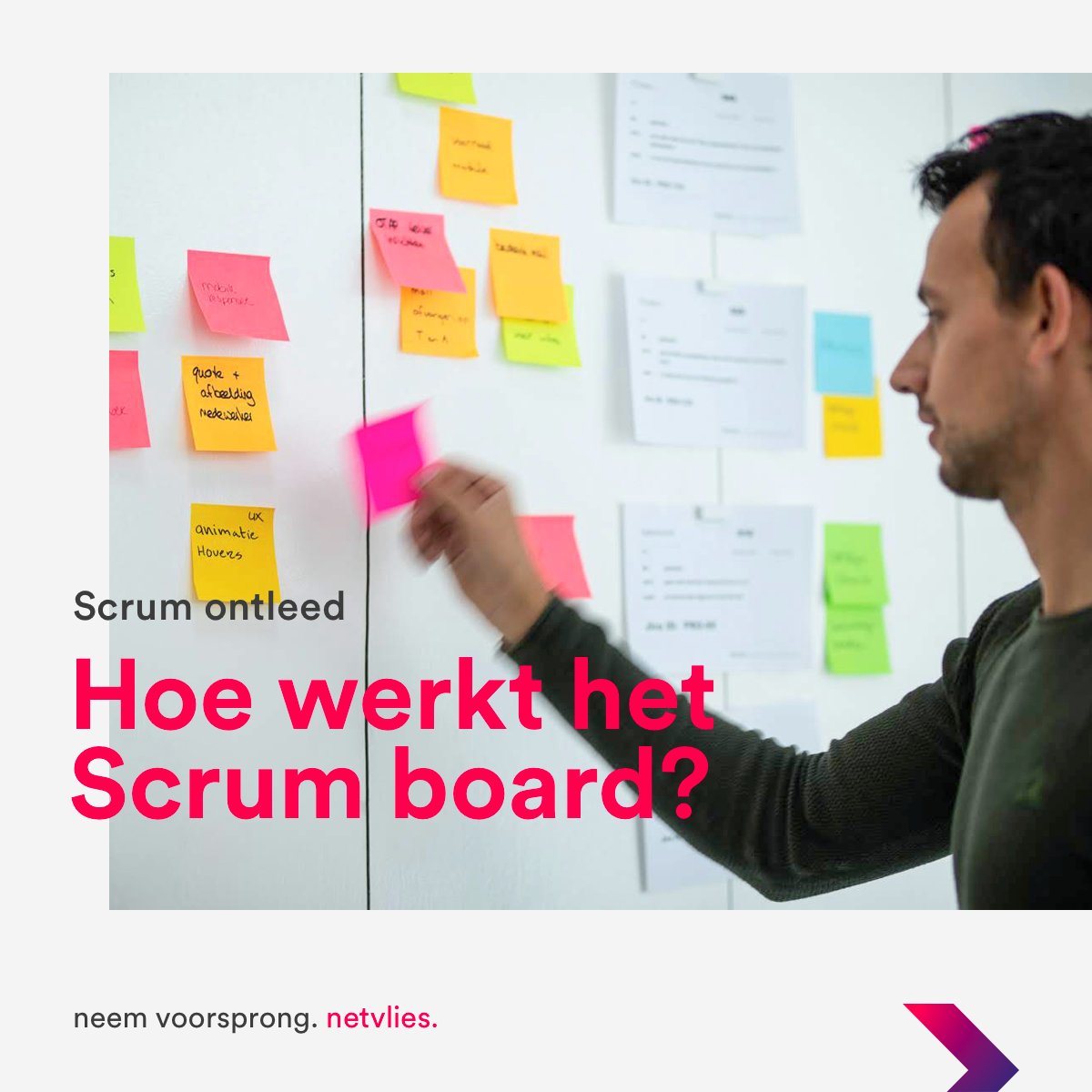 Netvlies tweet media