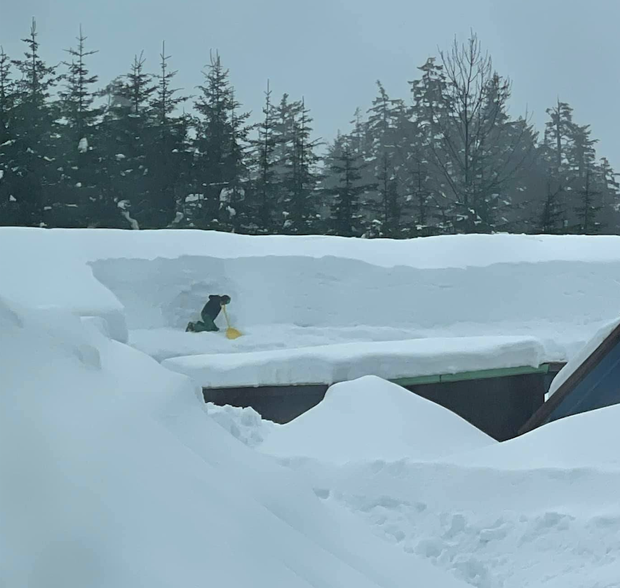 icedamguys's tweet photo. WHOA. ❄️ And you thought the snow on your roof was a problem. Check out this poor guy's job at Glacier Bear Lodge in Yakutat, Alaska. (via Eugene Wilkie) #icedams #snow #snowfall #Alaska #Yakutat #shoveling #Snowproblems #Icedamremoval #icedamguys https://t.co/sdrWGHa9WZ
