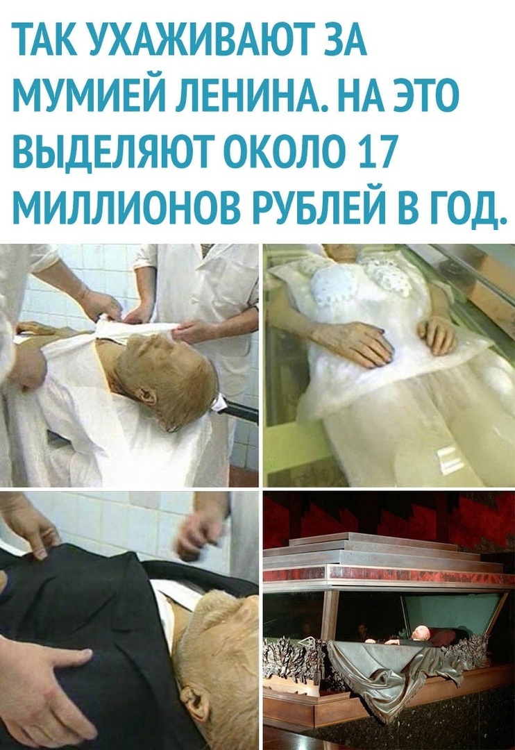 sossmislom's tweet photo. я: заплатила за октябрь и ноябрь 21к налогов

мои налоги: https://t.co/L6qDmCcfhr