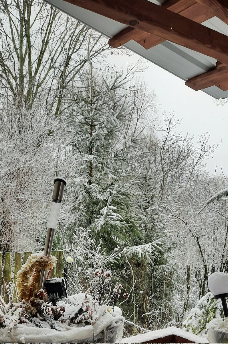 ewak1193's tweet photo. Niby #BlueMonday a jakoś bardziej White 🌨🌨🌨 ❄❄❄ https://t.co/err3FBnp0g