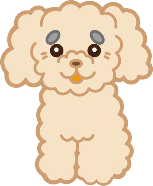 ちゃんつま 本日のペットイラスト トイプードル クリーム の老犬イラスト 無料 T Co Gxmsi9zs4x イラスト ペット 動物 手書き フリー 犬 猫 T Co Gkrbcai3wh Twitter