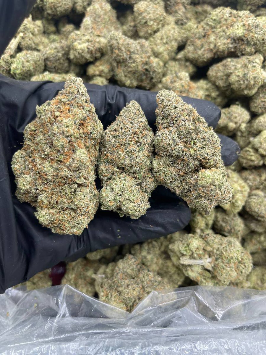 Franceweedbeuh's tweet photo. 👉🏻Snapchat:hkushcoffee2608 pour une livraison à domicile en France 
#code #goals #technology #software #CodeNewbie #flutterdev #developers #programming #Coding #AI #womenintech #MyUniverseNo1onHot100 #BoltUp  #BTSARMY #facebookdown #javascript #100DaysOfCode #twitme #nodejs #des https://t.co/wuOyc1L4eF