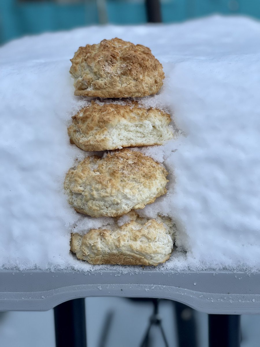 Biscuit Head tweet media