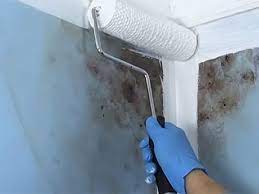 Facelift Painting & Restoration tweet media