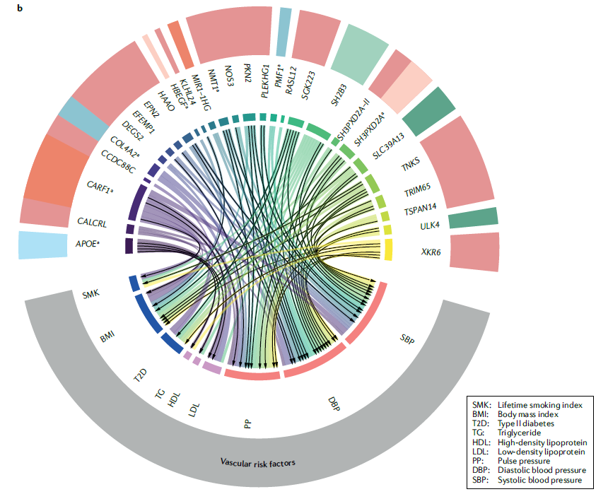 Find out about small vessel disease genomics in our recent review article in Nature Reviews Neurology!⬇️
nature.com/articles/s4158…

<a href="/univbordeaux/">Université de Bordeaux</a> <a href="/ELEANOR_BPH/">Molecular Epidemiology of Vascular/Brain Disorders</a>  <a href="/AniketMishra87/">Aniket Mishra</a> 
<a href="/MSarguru/">Murali Sarguru</a> #neurology #nature #reviews #stroke #genetic #cSVD #SHiVA