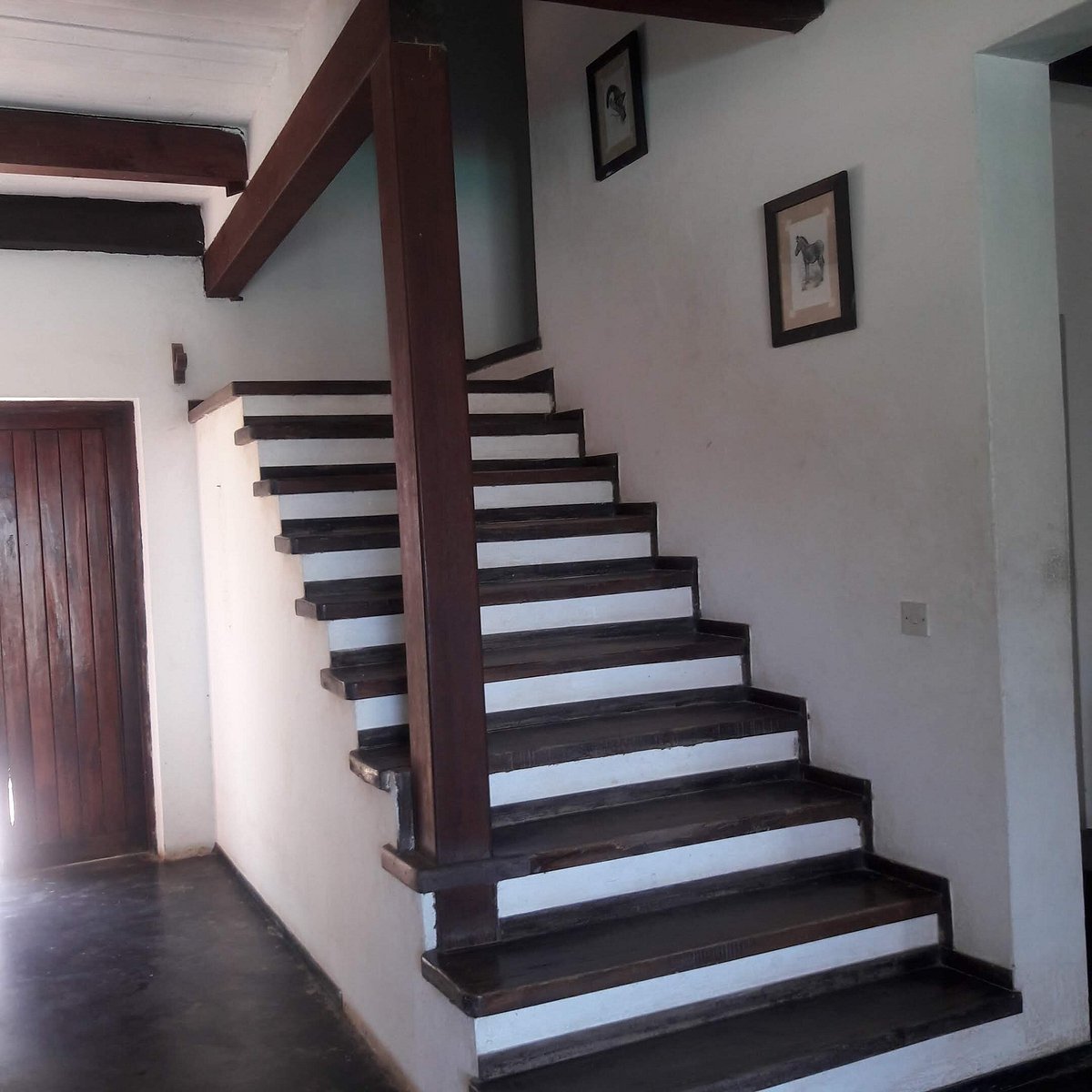 malindians's tweet photo. Guest House with the sea view at Malindi Beach, features an outdoor pool for guests to take a dip in and a gardenThe property comprises 7 rooms.#malindians #malindi #airbnb #guesthouse #villa #cottages #oceanview #oceanviewhotel https://t.co/FcztrDhSWU