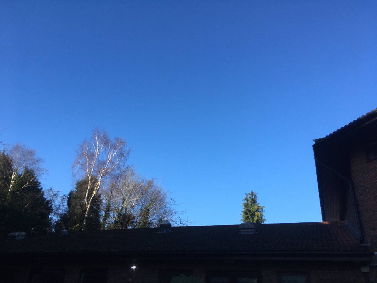 Monday: hurrah for sunbathing, beautiful blue skies &amp; birdsong. 

#DyingWellDiary #HospiceLife
