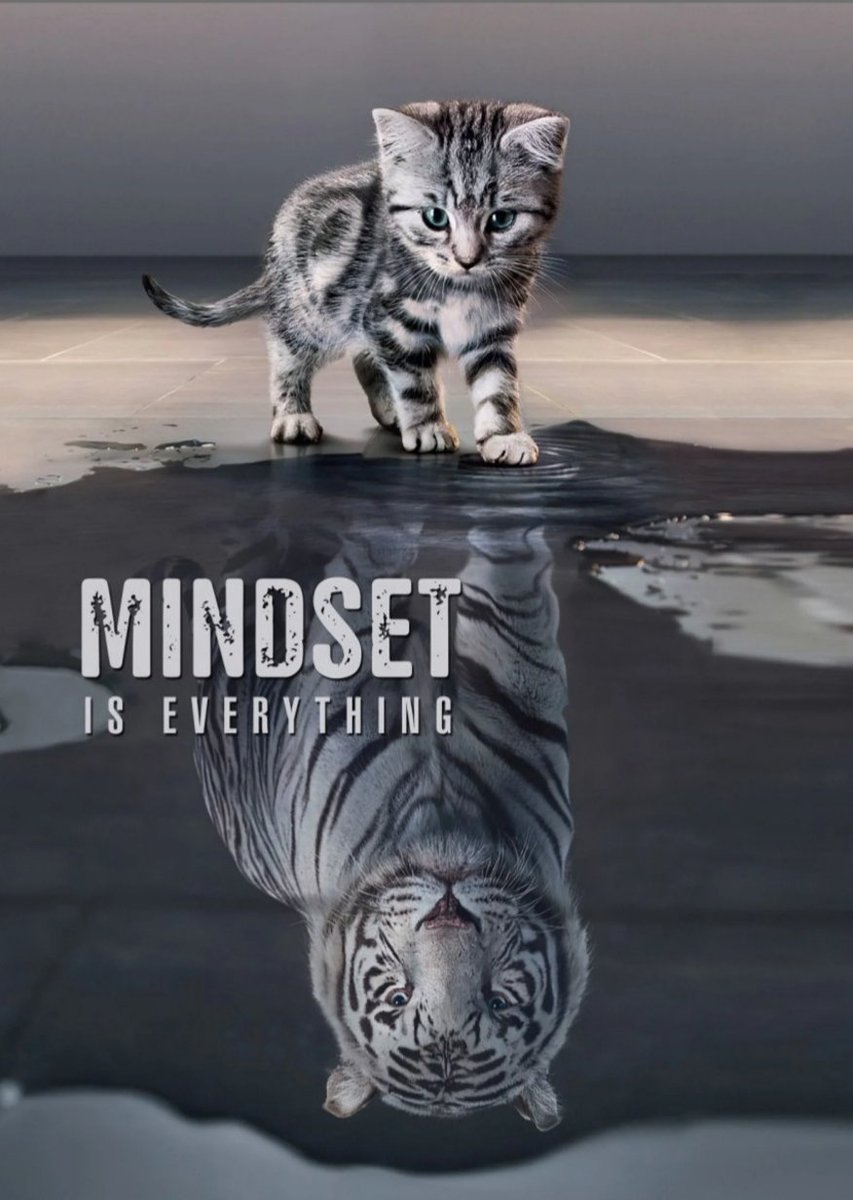 LondonCryptoKid's tweet photo. Happy Monday everyone! #NFTs #nftcollector #NFTCommunity #NFT #cryptocurrency #MondayMotivation https://t.co/AHKLtWRKBe