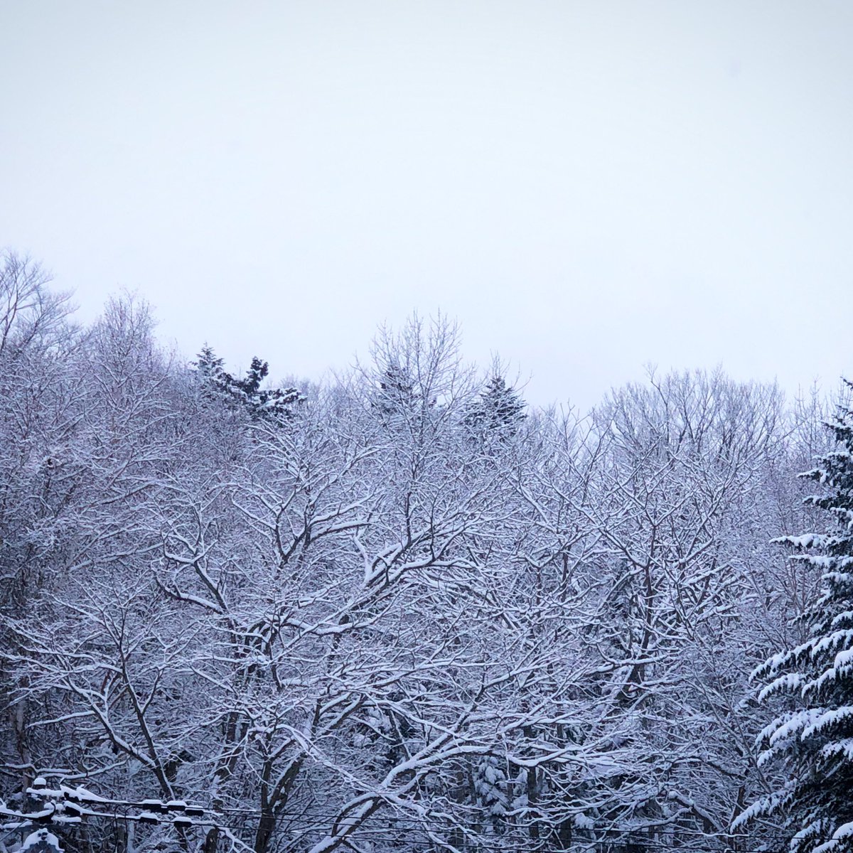 新しいエルメス 深々と降る雪 ウィンターsnowホワイトキラキラ冬 アート 写真 Www Qiraatafrican Com