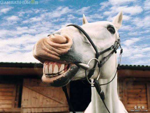 Лошадиные зубы. Улыбка коня. Лошадь улыбается. Лошадь ржет. Конь смеется.