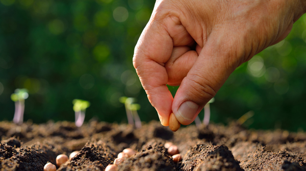 AscenzaCorp's tweet photo. To be a farmer is one of the most challenging activities, as it carries the mission to feed a growing world population while also taking care of our planet. Find out more about our balanced portfolio, https://t.co/eNrhK8lPn6 #ascenza #farmingyourfuture #becausewecare https://t.co/9YMGPFKhex