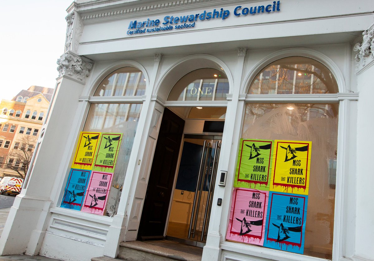 Ocean Rebellion tweet media