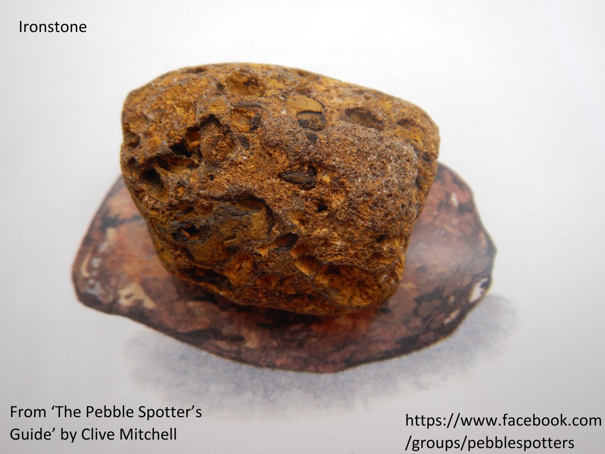 CliveBGS's tweet photo. Ironstone - this rusty pebble is an iron-rich sandstone &amp; is representative of geological formations that provided iron ore for production of iron and steel during the Industrial Revolution - this pebble came from the beach at Whitby in North Yorkshire #PebbleSpotting #28Pebbles https://t.co/iFkZ3F31io