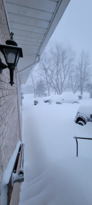 Anyone saw my cat , it's white, and didn't  come home last night https://t.co/0TzlOyTeS0