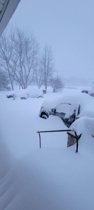 Anyone saw my cat , it's white, and didn't  come home last night https://t.co/0TzlOyTeS0