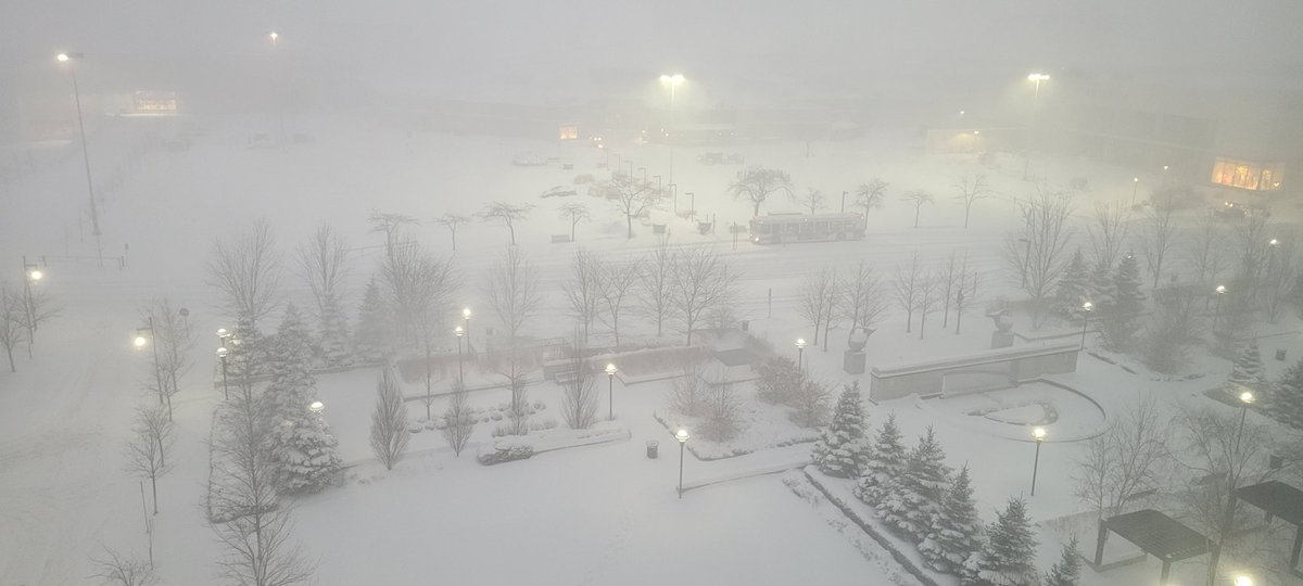 dumboiscrazy's tweet photo. #whitewhite #sherwaygardens #cp24 @CP24 https://t.co/3igdCplu1w