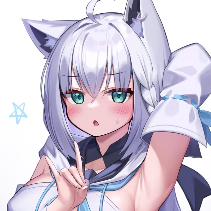 タグで絵が検索できないので特定の部分だけ別切ってにアップロードしてみました!

イラストは上にあります!
#絵フブキ 