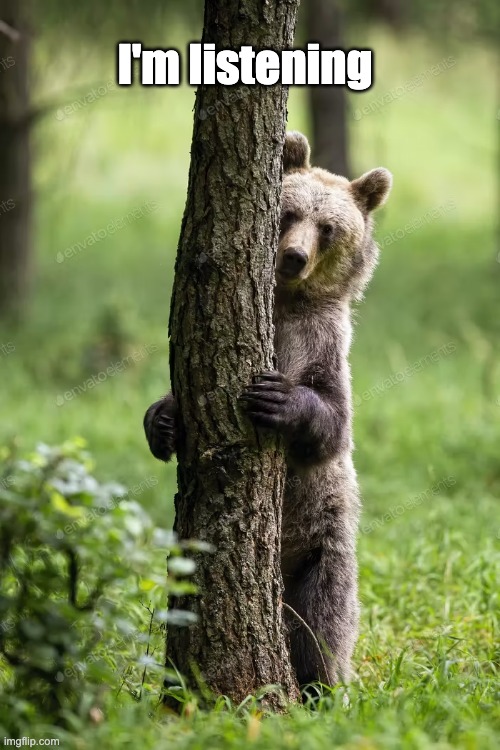 FookBears tweet media