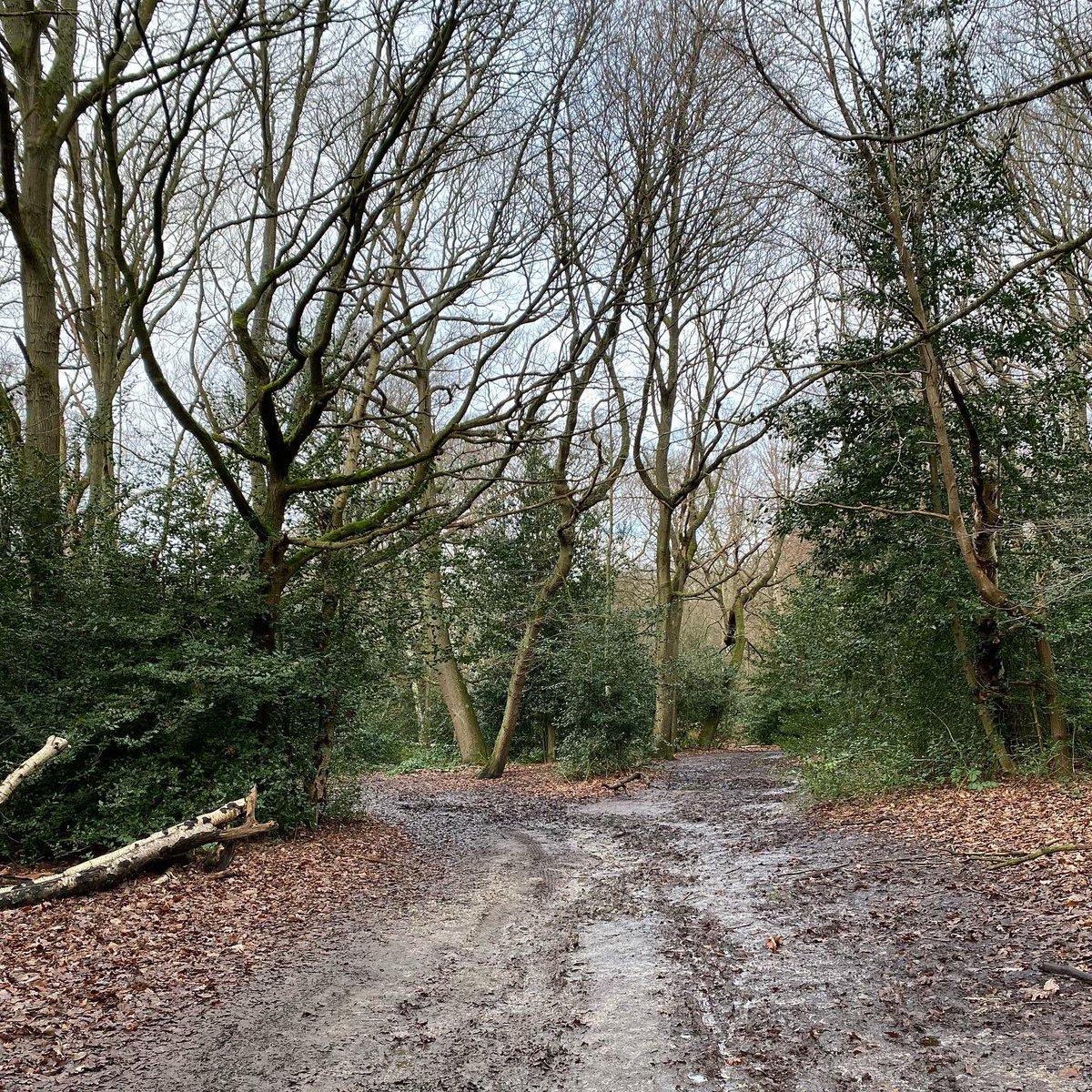 MillikenEurope's tweet photo. Exploring the highs and lows with blues skies and dirty tracks.
🌿
Take it all in this January and just be.
 
📸 Images: Poise Retold in colours Reset &amp; Enlighten | Hampstead Heath, London
 
Click👇🏼for product details:

https://t.co/kYXzJoYuOq

#JanuaryWellbeing #CarpetTiles https://t.co/GmozdatR2B