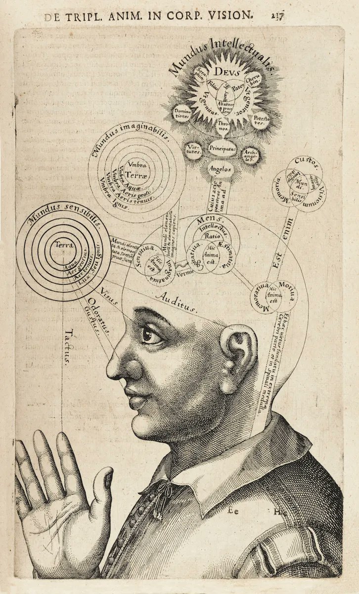 Born #onthisday in 1574, the great occult philosopher Robert Fludd. Pictured here: his image of the "spiritual brain". More about the man and his philosophy in our essay by Urszula Szulakowska: buff.ly/3nxUIxs #otd