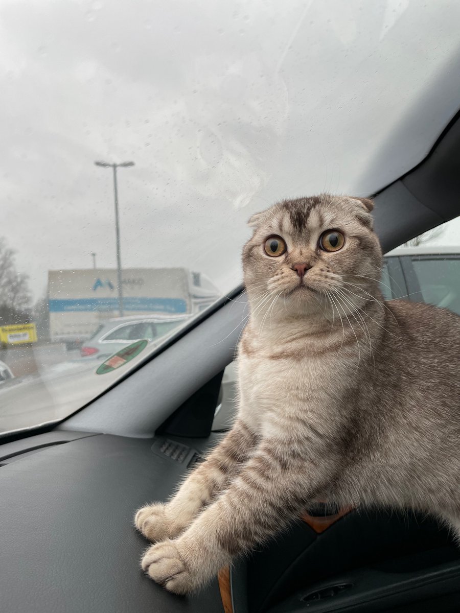 Arkadaş sanki ilk defa dışarı çıkıyor 🤣