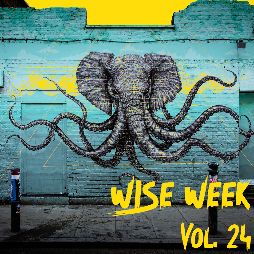This week is off to a fierce start with our WISE WEEK Vol. 24!
 ezine.inveganswetrust.com/wise-week-vol-…
•
•
•
•
#ezine #subscribe #educate #veganlife #business #veganbusiness #vegans #vegannews #veganart #art #feature #volume #article #news #fun #wise #week #readers #share #veganinformation