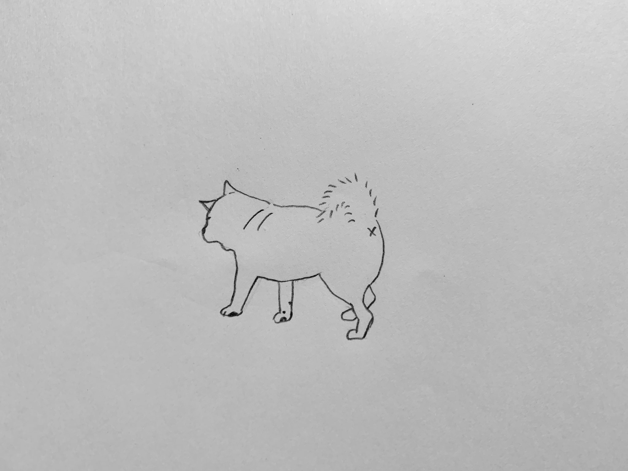 柴犬の絵 Twitter Search Twitter