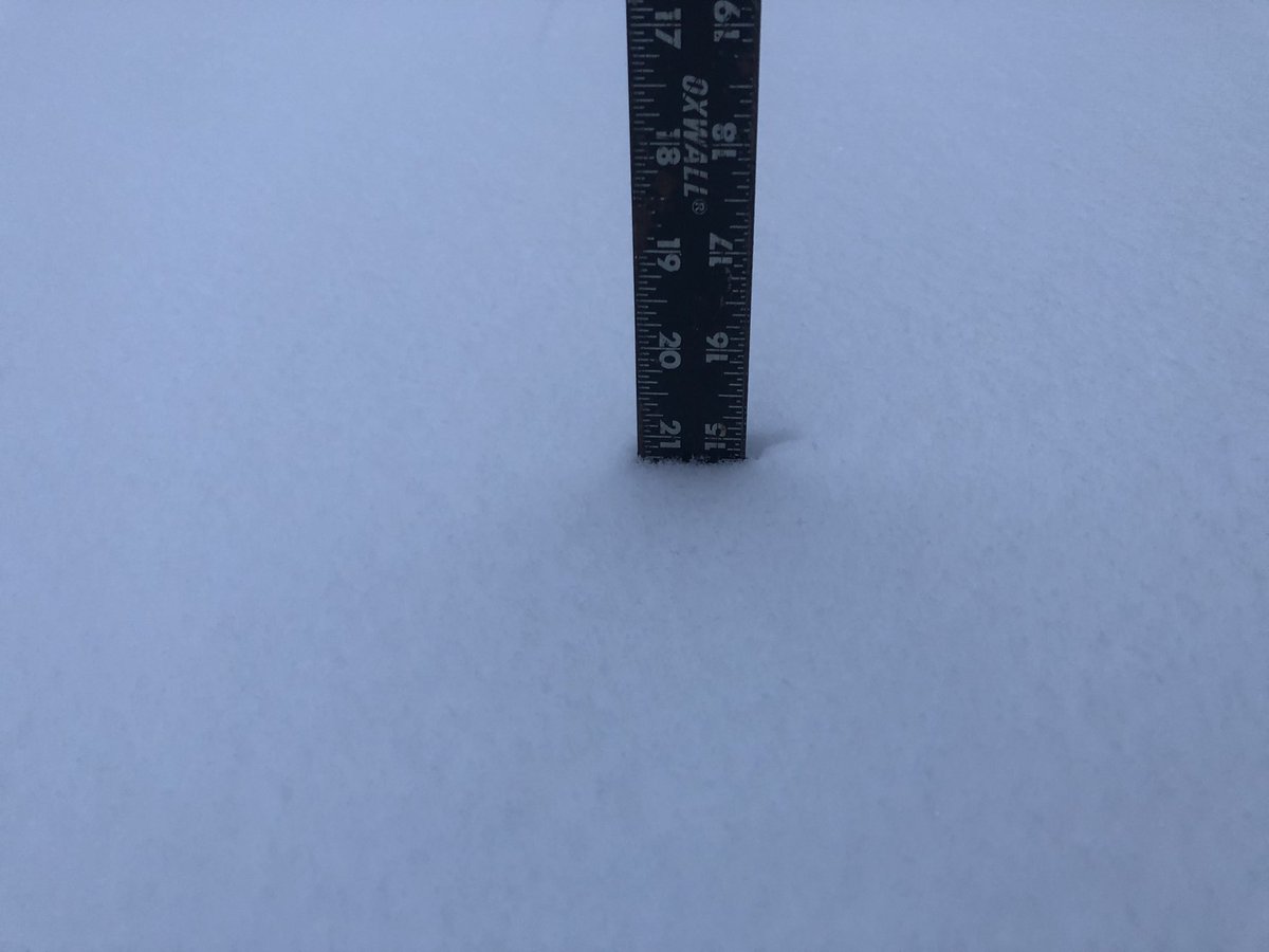 RyanR1218's tweet photo. I had to use my yard stick (in inches) for the first time since moving here. Whitby now up to about 15 inches (38 cm) of snow as of 8 A.M. which is 10 cm in the last hour #onstorm #onwx https://t.co/lXkUW6A0kp