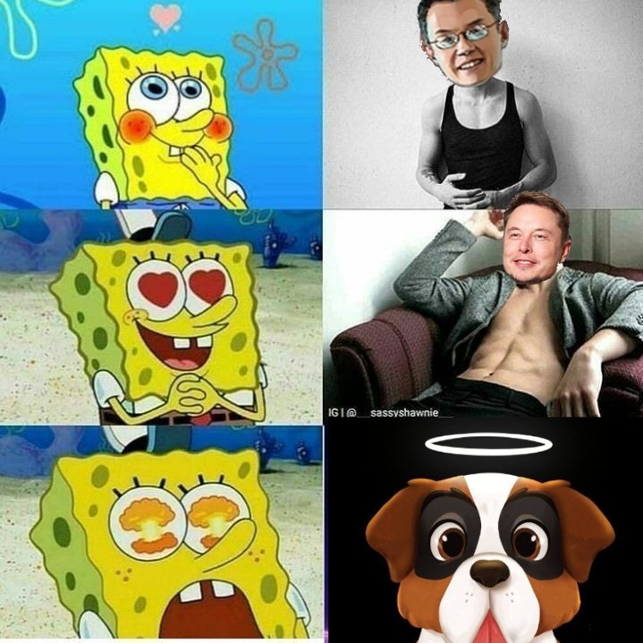 zunty21_crypto's tweet photo. @saint_inu $Saint #saintinu #saintmeme https://t.co/ZkHRwpqrsv