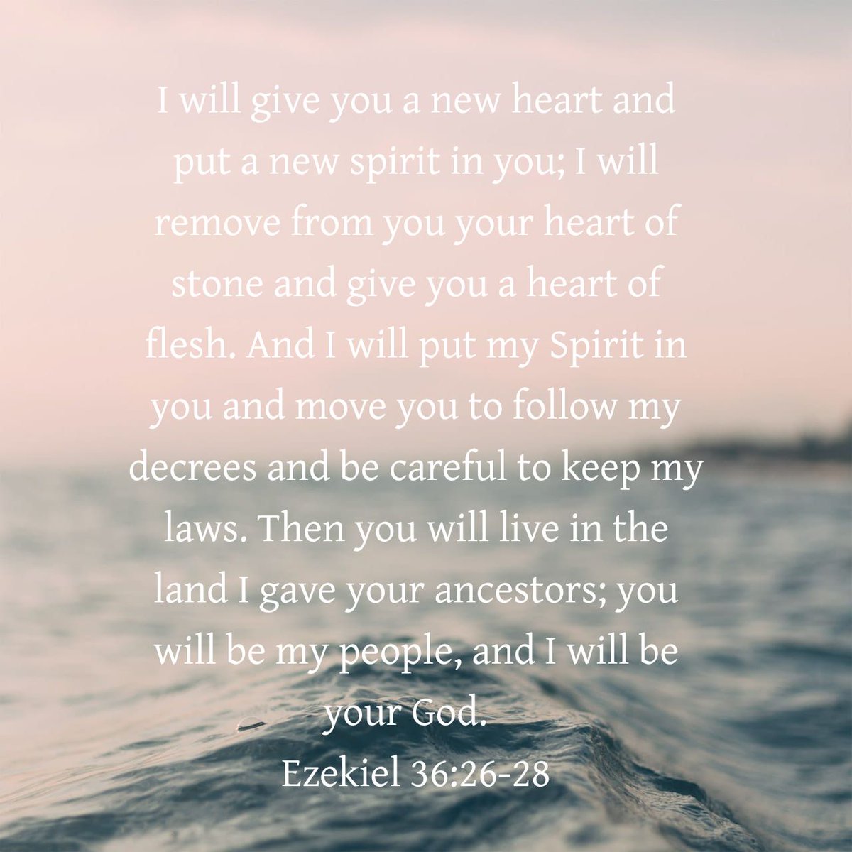 JennerJr93's tweet image. 