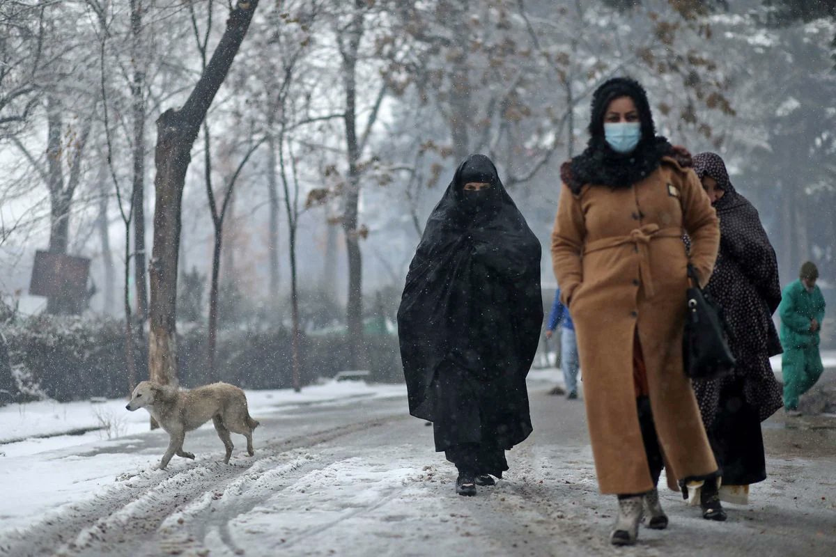 Stamen_2's tweet photo. 報復に怯える元国軍女性兵士、アフガニスタン女性の悲劇 https://t.co/jG9ukpfck3 @JBpressより

#タリバーン が約20年ぶりに政権を奪取してから5ヶ月。またもや「#イスラム法」に託けた #女性差別 を始めているが、特に #旧国軍 などに勤めていた女性は、#虐殺 の対象になっているようだな！ https://t.co/4lUETG6PsI
