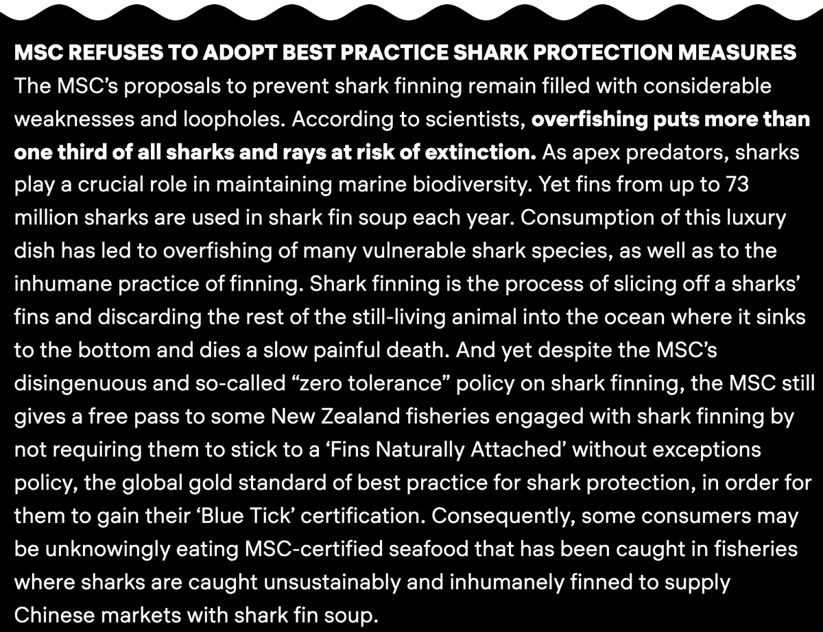 oceanrebellion's tweet photo. Unbelievably, @MSCecolabel refuses to adopt best practice #shark protection measures. MSC’s proposals to prevent shark finning are filled with weaknesses &amp; loopholes. MSC’s so-called Zero Tolerance shark fin policy is disingenuous.
#FinFreeMSC
#MSCSharkKillers
#AsTheSeasDieWeDie https://t.co/jRS2fpKRx3