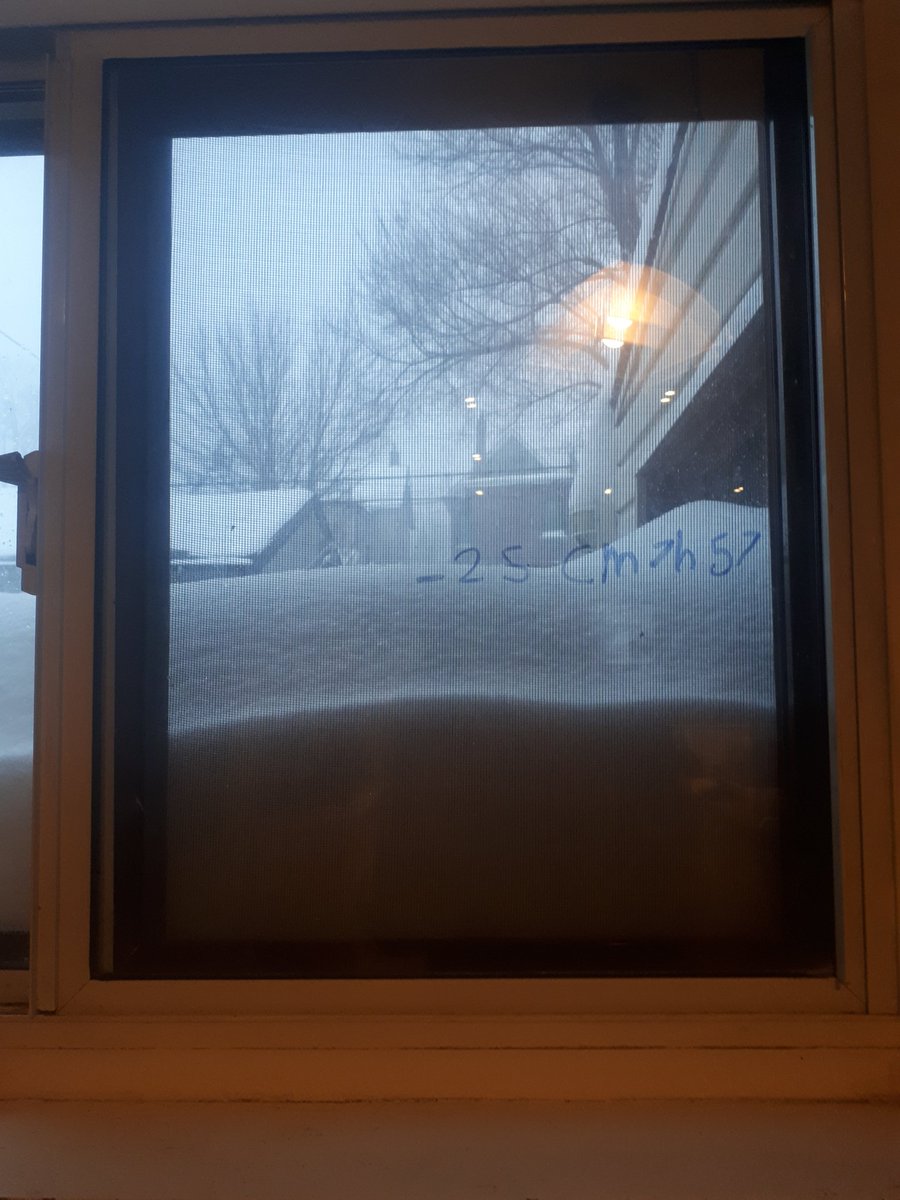MonikaGoodluck's tweet photo. @metromorning Morning studies at our kitchen window. Lots more to come - measuring efforts for shovelling and walking, angles and speed related to tobogganing, physics of snow building, and volume related to mugs of hot chocolate. https://t.co/uwwIxbWNEg