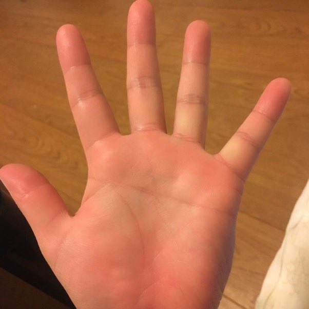 マスカケ線 Twitter Search Twitter