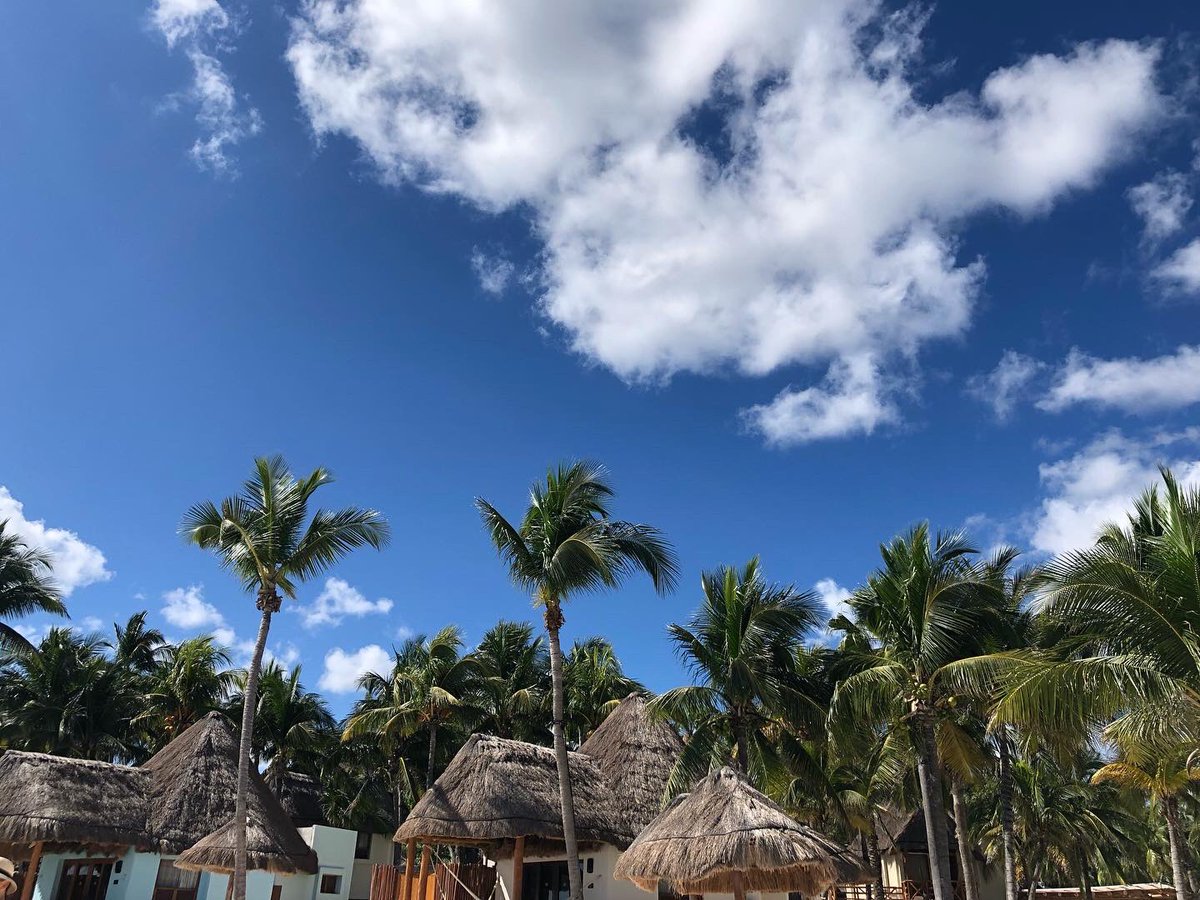 Daughters of Beer tweet media